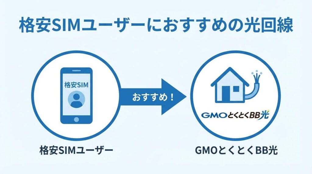 recommended-fiber-for-budget-sim-users