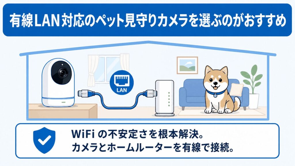ペット見守りカメラ_有線LAN対応を選ぶのがおすすめ